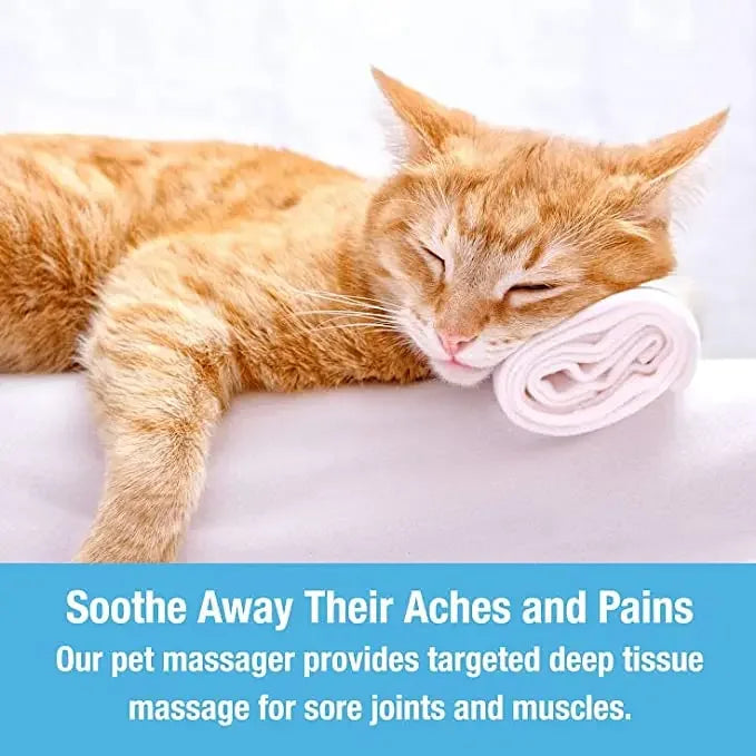 Elektrischer Katzen-Massagekamm – Rückenkratzer und Massagegerät zur Entspannung, für Kopf, Nacken, Schultern und Kopfhaut