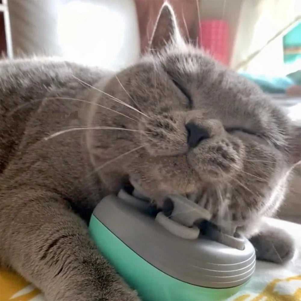 Elektrischer Katzen-Massagekamm – Rückenkratzer und Massagegerät zur Entspannung, für Kopf, Nacken, Schultern und Kopfhaut